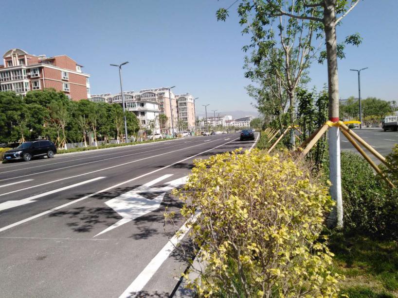 蘭陵縣道路